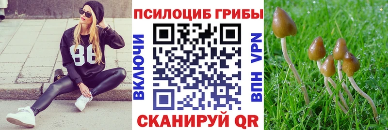 блэк спрут как войти  Светогорск  Галлюциногенные грибы ЛСД  сколько стоит 